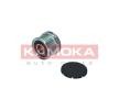 KAMOKA Alternatör debriyaj kasnağı — Renault 19 (4)