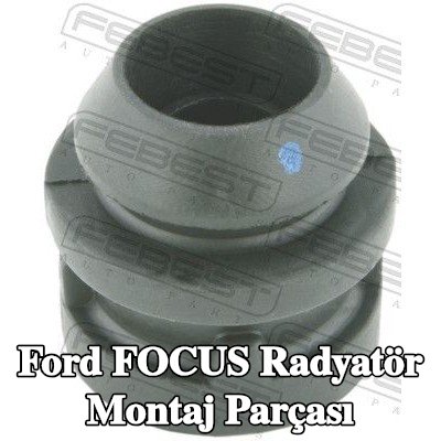 FEBEST Radyatör yuvası Alt — 2000 Ford Focus