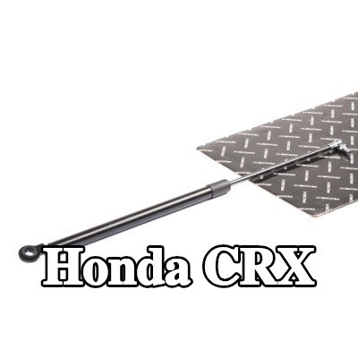 RIDEX دعامة الباب الخلفي — 1990 Honda Crx