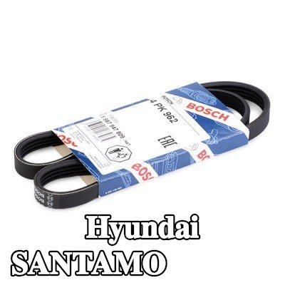 BOSCH حزام سيربنتين 962mm, Number of ribs: 4 — Hyundai Santamo