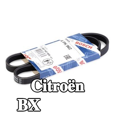 BOSCH حزام سيربنتين 962mm, Number of ribs: 4 — Citroën Bx