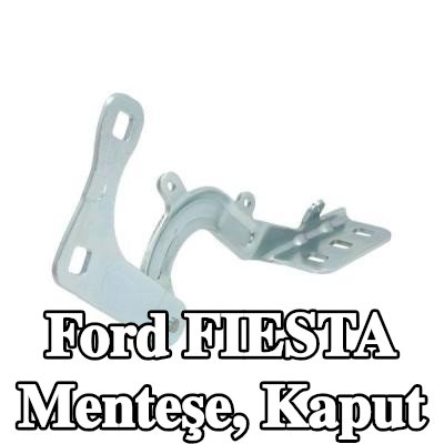 BLIC Menteşe, kaput — 2017 Ford Fiesta