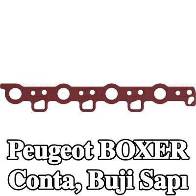 REINZ Conta, buji sapı — Peugeot Boxer