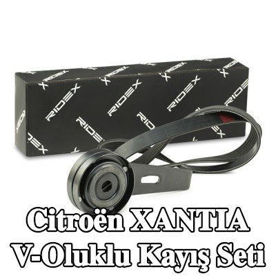 RIDEX V-Oluklu Kayış Seti — 1994 Citroën Xantia