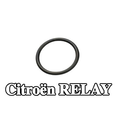 FAST حشية، شفة سائل التبريد — Citroën Relay