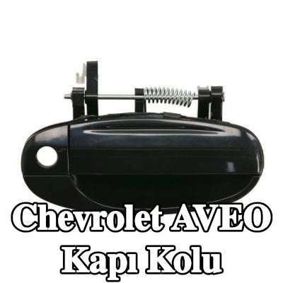 BLIC Kapı kolu, sağ ön — 2003 Chevrolet Aveo