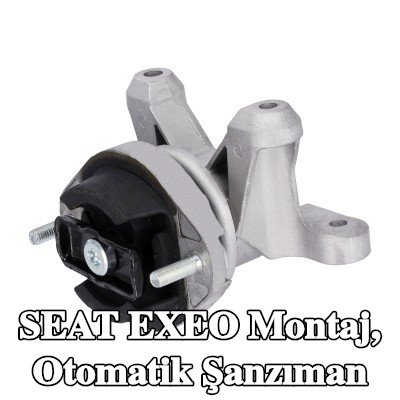 FEBI BILSTEIN Montaj, otomatik şanzıman Arka — SEAT Exeo
