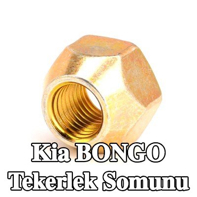 FEBI BILSTEIN Tekerlek Somunu 21 — Kia Bongo