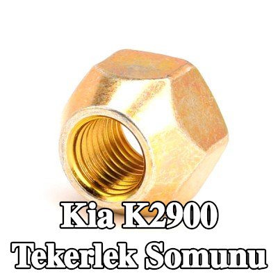 FEBI BILSTEIN Tekerlek Somunu 21 — Kia K2900