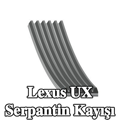 FEBI BILSTEIN Serpantin kayışı 1123mm, Number of ribs: 6 — Lexus Ux