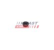 FAST Enjektör kelepçe cıvatası — SEAT Exeo (4)