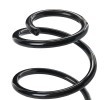 SACHS Helezon yay — Renault Kangoo (4)