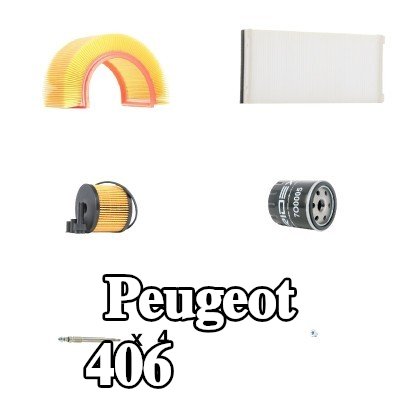 RIDEX طقم صيانة — Peugeot 406