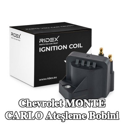 RIDEX Ateşleme bobini 2 pimli konektör, 12V — Chevrolet Monte Carlo