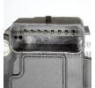 PIERBURG Kütle hava akış sensörü 12V — Chevrolet Traverse (3)