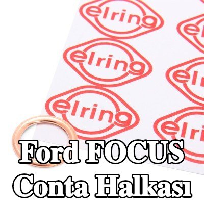 ELRING Conta halkası — 2016 Ford Focus