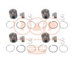 IAP QUALITY PARTS Piston segmanlı piston — Kia Stinger (1)