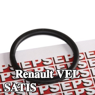 EPS حشية, ثرموستات صنع في إيطاليا - مكافئ للمعدات الأصلية — Renault Vel Satis