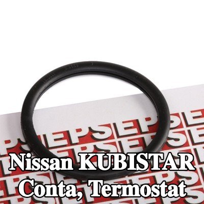 EPS Conta, termostat İtalya'da üretilmiştir - OE Eşdeğeri — Nissan Kubistar