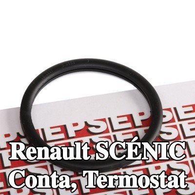 EPS Conta, termostat İtalya'da üretilmiştir - OE Eşdeğeri — 2004 Renault Scénic