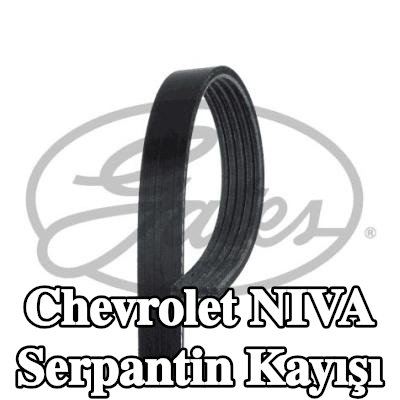GATES Serpantin kayışı Micro-V, 1885mm, Number of ribs: 5 — Chevrolet Niva