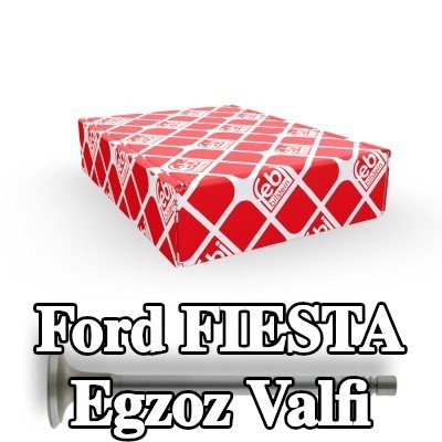 FEBI BILSTEIN Egzoz valfi — 1997 Ford Fiesta