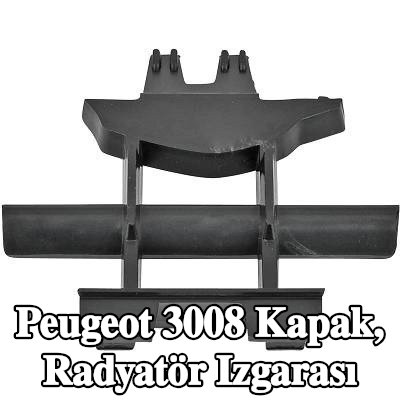 DIEDERICHS Kapak, radyatör ızgarası — Peugeot 3008
