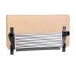 RIDEX Intercooler — Ford Ranger (1)