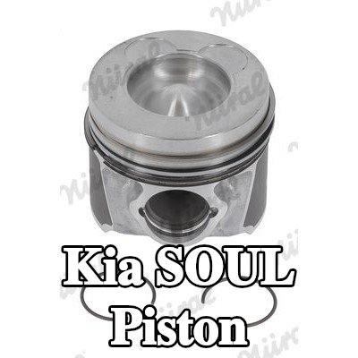 NÜRAL Soğutma kanallı piston, piston segman taşıyıcısı ile — 2010 Kia Soul