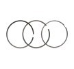 MAHLE Piston Segman Kiti — Audi 80 (7)