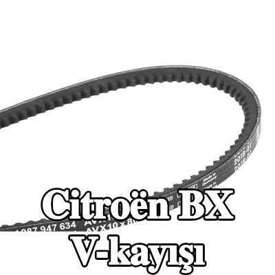 BOSCH V-kayışı 800mm — Citroën Bx