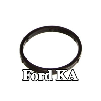 CITROEN/PEUGEOT حشية، مضخة الزيت — Ford Ka