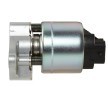 HELLA Contalı/sızdırmazlık elemanlı EGR valfi — Chevrolet Beretta (2)