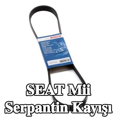 BOSCH Serpantin kayışı 1000mm, Number of ribs: 6 — SEAT Mii