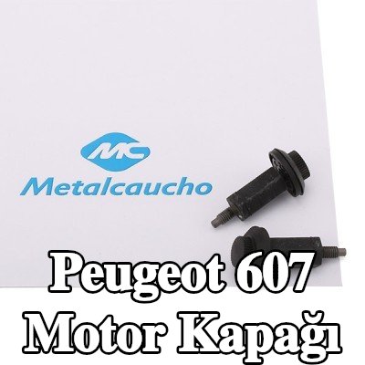 Metalcaucho Motor Kapağı — 2000 Peugeot 607