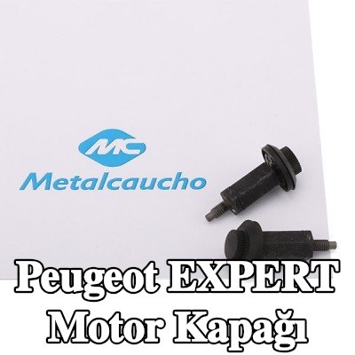 Metalcaucho Motor Kapağı — 2002 Peugeot Expert