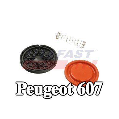 FAST غشاء تنفيس علبة المرافق — Peugeot 607