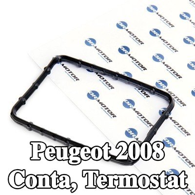 DR.MOTOR AUTOMOTIVE Conta, termostat — Peugeot 2008