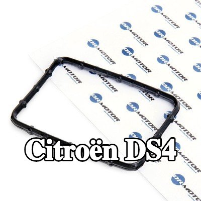 DR.MOTOR AUTOMOTIVE حشية، منظم الحرارة — Citroën Ds4