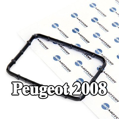 DR.MOTOR AUTOMOTIVE حشية، منظم الحرارة — Peugeot 2008