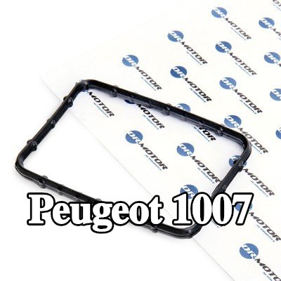 DR.MOTOR AUTOMOTIVE حشية، منظم الحرارة — Peugeot 1007