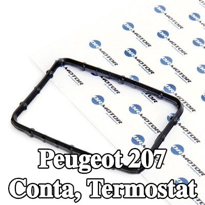 DR.MOTOR AUTOMOTIVE Conta, termostat — Peugeot 207