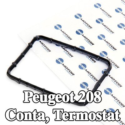 DR.MOTOR AUTOMOTIVE Conta, termostat — Peugeot 208