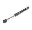 RIDEX دعامة الباب الخلفي الخلفية, كلا الجانبين, 279mm — Volkswagen Bora (5)