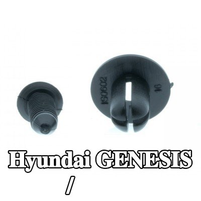 EINPARTS مشبك، شريط تزيين / حماية — Hyundai Genesis
