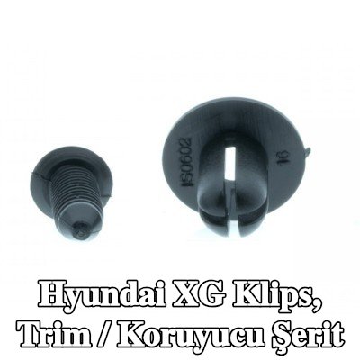 EINPARTS Klips, trim / koruyucu şerit — Hyundai Xg