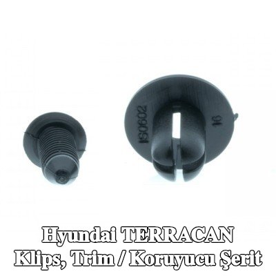 EINPARTS Klips, trim / koruyucu şerit — Hyundai Terracan