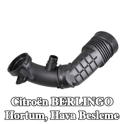 METZGER Hortum, hava besleme — Citroën Berlingo
