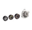 BOSCH Su pompası ve triger kayışı kiti Diş Sayısı: 122, Width: 21mm — Volkswagen Lt (3)
