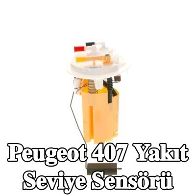 BOSCH Yakıt seviye sensörü montajı — Peugeot 407
